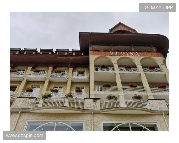 雷吉纳阵容深度