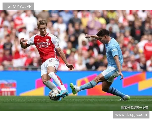 帕尔默与萨卡：新星培养价值及战术适配性对比分析